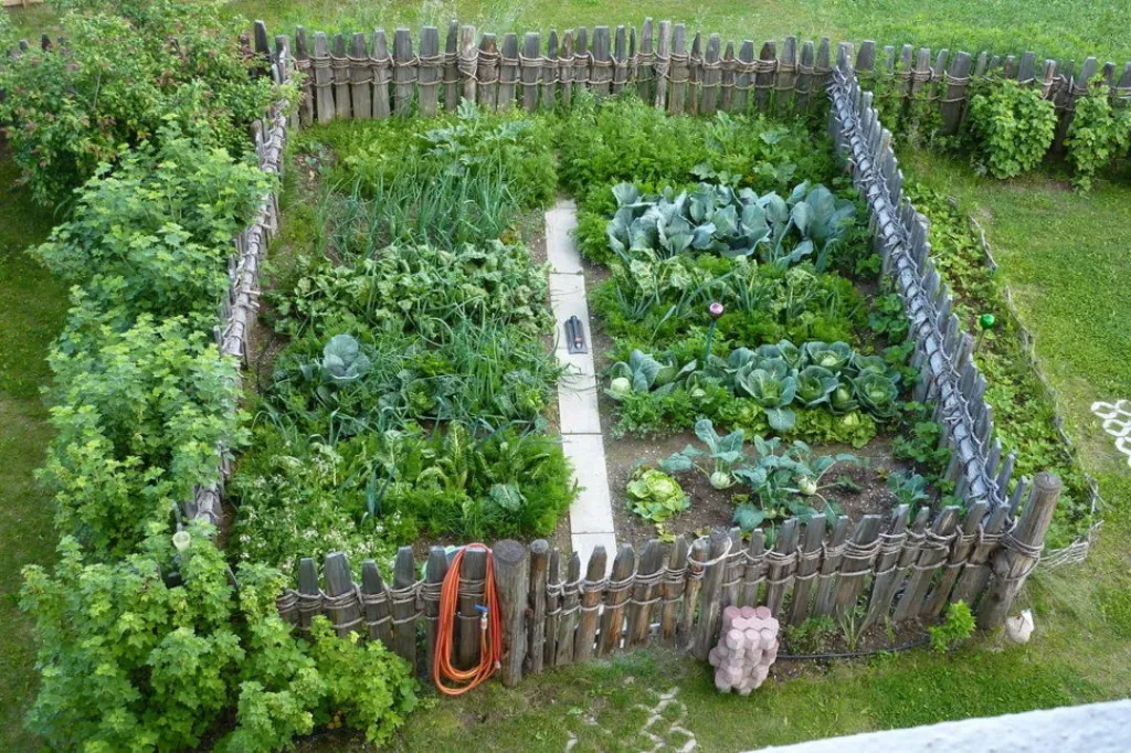 Grow Your Own Food – Plant a Vegetable Garden!